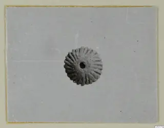 Disc-shaped find with radiating ridges and a central hole, from Ayios Iakovos