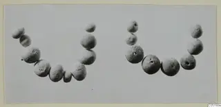 Two curved rows of small round beads laid out on a pale grey background