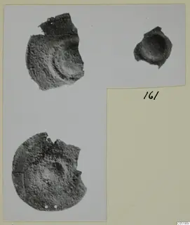 Three photographs of corroded, rounded finds mounted on a card, with a handwritten number label beside them