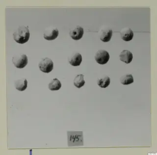 Fifteen small rounded objects in three rows, with a number card, from Lapithos Tomb 320