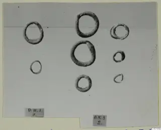Eight ring-shaped bronze objects from Lapithos Tomb 320 laid out on a pale background.