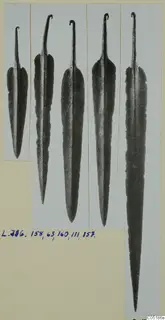 Five metal blades with curled tangs laid side by side on a mounted card, with a handwritten number label below