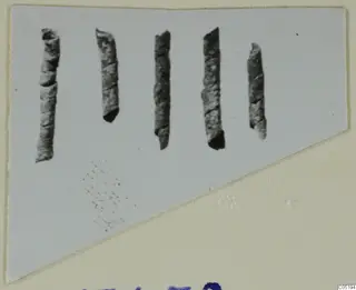 Five corroded metal rods from Lapithos Tomb 313 A, photographed upright on a card mount