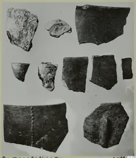 Pottery sherds, plain white and red polished wares, laid out in rows on a pale background