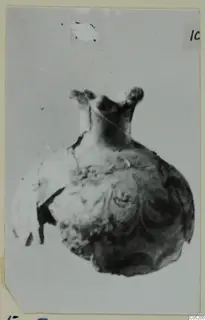 Round-bodied vessel with a short neck and two projecting lugs, from Enkomi Tomb 3, photographed on a card mount