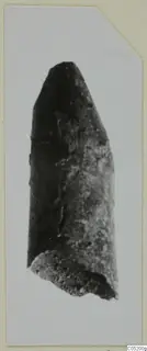 Single elongated find from Enkomi Tomb 3 with a pointed upper end and a broken lower end, shown on a card mount