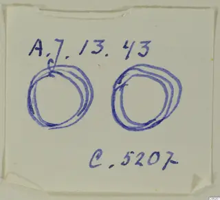 Paper card with handwritten labels and two blue ink sketches of rings