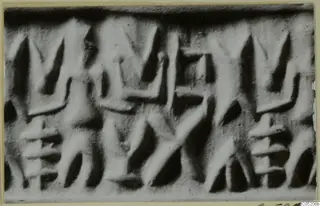 Close-up photograph of a seal face with rows of wedge-shaped signs cut into it.