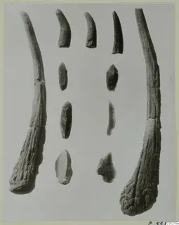 Horn and flint objects from Kythrea: two long horn pieces flanking short curved horn pieces and small flint pieces laid out in rows