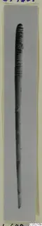 Bone pin with a ribbed and incised decorated head, photographed upright from Lapithos