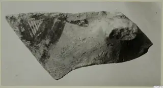 Pottery sherd with a dark painted area and a pale hatched triangular pattern