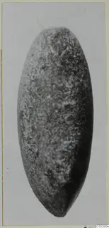 Oval stone object with a speckled grey surface, from Kythrea