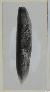Stone part from Kythrea: an elongated object, rounded at one end and tapering to a point at the other.