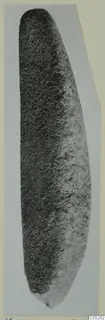 Grinder of stone from Kythrea, long and slightly curved, rounded at the top and tapering to a narrower rounded end.