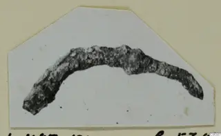 Corroded, curved bronze object from Lapithos Tomb 403, shown on a pale mounted card