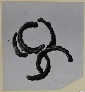 Corroded bronze wire loops, jewellery from the Kastros tombs at Lapithos