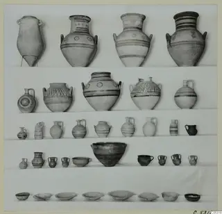 Pottery from Marion, Tomb 82: rows of jars, jugs, cups and bowls set out on a pale background.