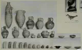Pottery vessels from Marion, Tomb 20, arranged in rows on a shelf, with painted bands on several, shown on a photo mount.