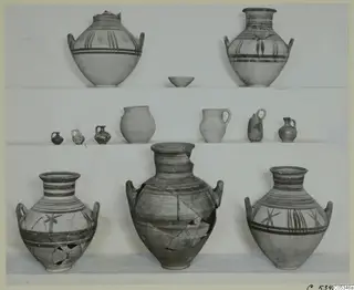 Pottery vessels from Marion, Tomb 90, shown in three rows on shelves: two-handled jars, juglets and a jug
