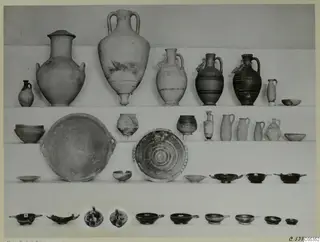 Pottery from Marion, Tomb 56: jars, jugs, bowls and dishes arranged in rows on shelves.