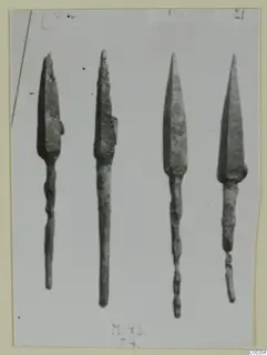 Bronze weapons: four spearheads with tangs laid out in a row