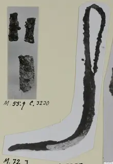 Corroded iron tool with a looped upper end and curved blade, beside three small iron fragments, from Marion.