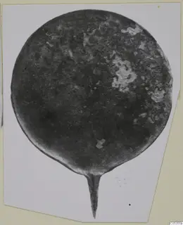 Round bronze plate with a narrow pointed tang, corroded surface, from Marion
