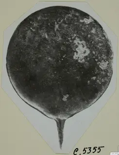 Bronze disc with a long tapering tang, corroded surface, from Marion