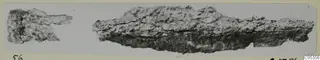 Two corroded iron fragments on a grey background, mounted on a cream card, from Amathus