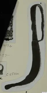 Bronze toilet requisite, a long curved implement with a loop at one end, shown on a mounted photograph
