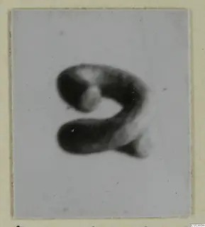 Blurred photograph of a dark, curled object from Amathus, with a paler patch in its upper part.