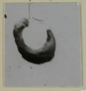 Blurred photograph of a dark, open ring-shaped piece of jewellery from Amathus against a pale background.