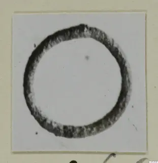 Ring-shaped piece of jewellery from Amathus, shown on a white card against a cream backing