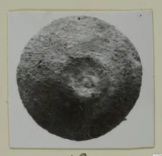 Find photograph of a round, pitted object with a central circular ridge, from Amathus.