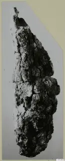 Corroded iron object from Amathus, heavily encrusted and cracked, shown upright against a grey background.