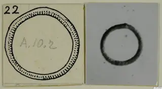 Drawing and photograph of a silver ring-shaped object mounted side by side on a card