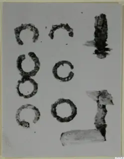 Small ring-shaped and tubular fragments from Amathus, shown on a pale grey background