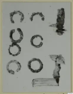 Bone pieces from Amathus: several small ring-shaped fragments and two elongated pieces on a pale background