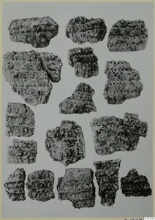 Group of corroded metal fragments with layered, pitted crusts, photographed on a grey backdrop