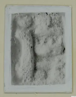 Mounted photograph of a find from Amathus tomb 2-26, a soft close view of a mottled, raised surface