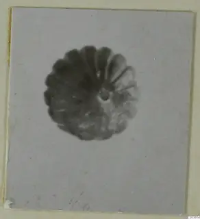 Blurred view from above of a round, ribbed alabaster vessel from Amathus