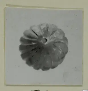 Ribbed alabaster vessel from Amathus seen from above, with a small central opening
