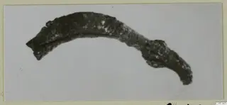 Corroded curved bronze object from Amathus, likely a personal adornment, shown on a pale backdrop
