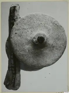Round grainy disc with a central boss beside a long rod-shaped object, on a pale background