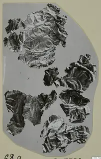 Crumpled, thin fragments with a metallic sheen, find photograph from Amathus T. 2-26