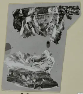 Two fragments of thin, crumpled material from Amathus, shown on a grey card mount.