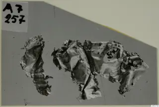 Crumpled fragments of thin gold sheet jewellery on a grey backdrop