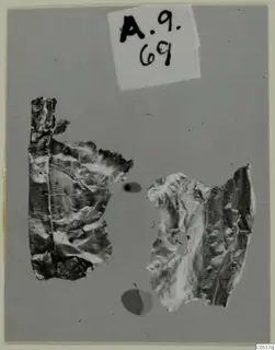 Two crumpled fragments of thin gold sheet from Amathus, lying on a grey backdrop.