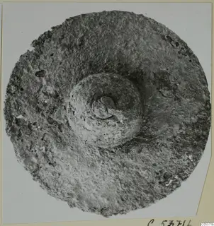 Round, flat find with a raised central boss, from Amathus
