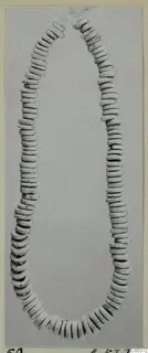 Necklace of pale disc-shaped beads strung in a long loop, photographed on a grey card, from Amathus
